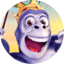 Gorilla Go Wild